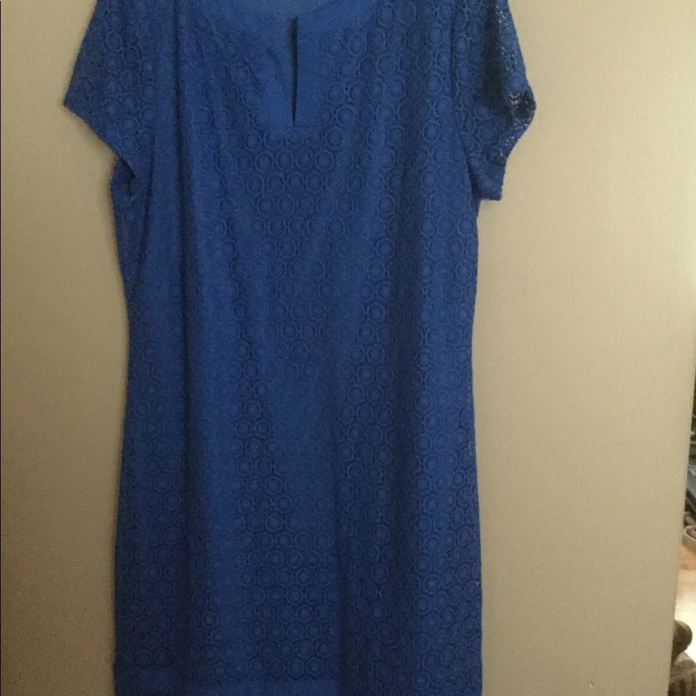 Stunning Lace Coverlet Dress
